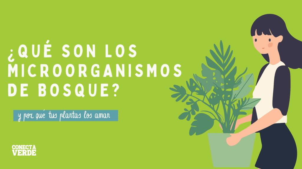 Qué son los microorganismos de bosque