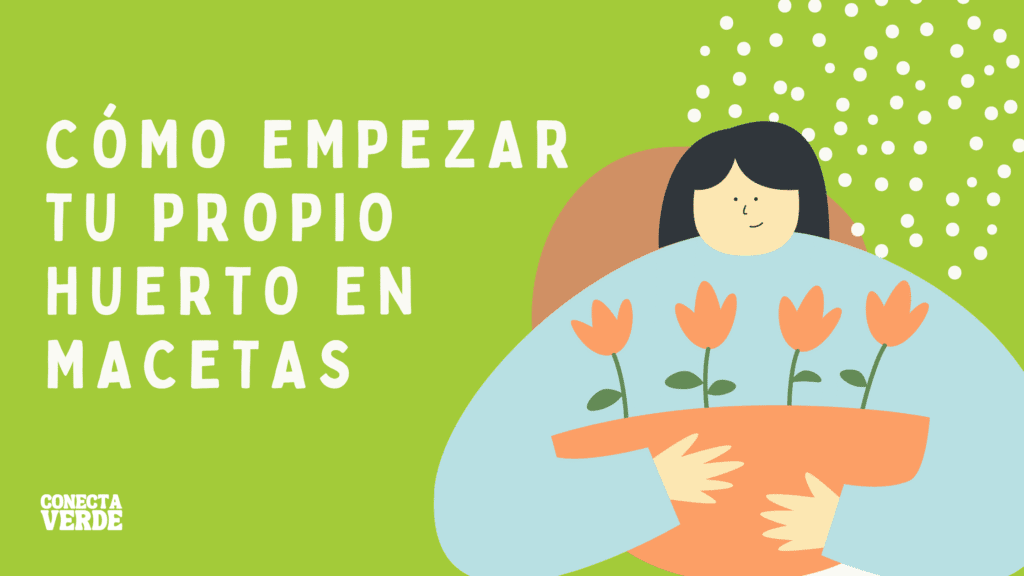 Cómo empezar tu propio huerto en macetas