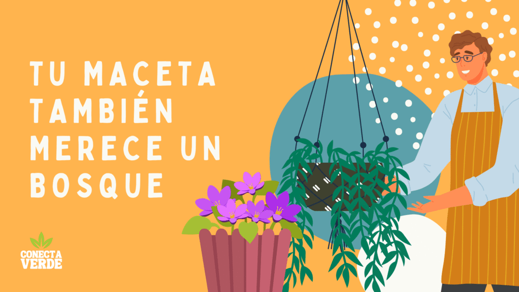 Tu maceta también merece un bosque