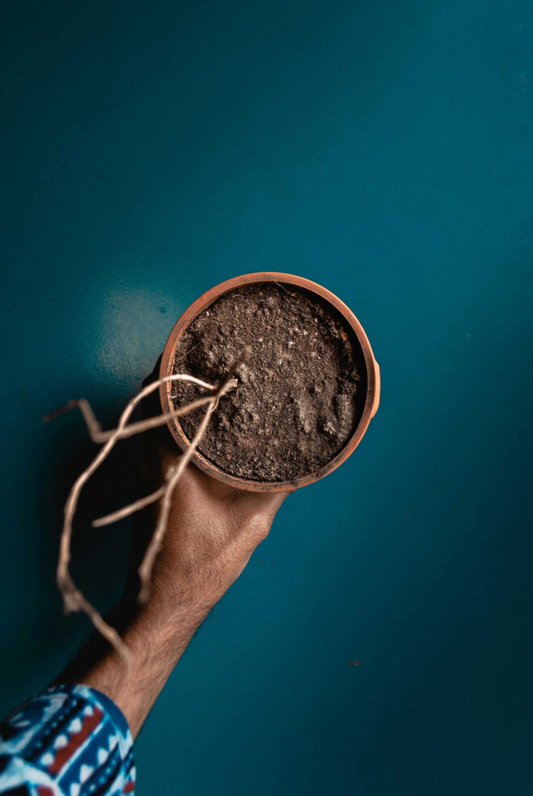 akshar-dave-XhyqraFZm8E-unsplash